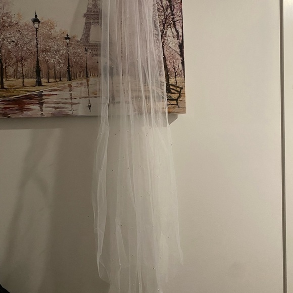 Elegant White Bridal Veil - Picture 6 of 6